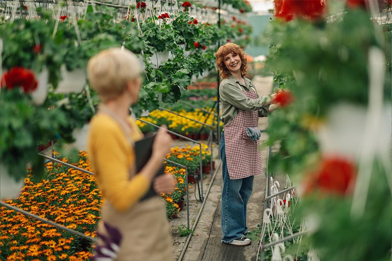 Pépinièristes / horticulteurs